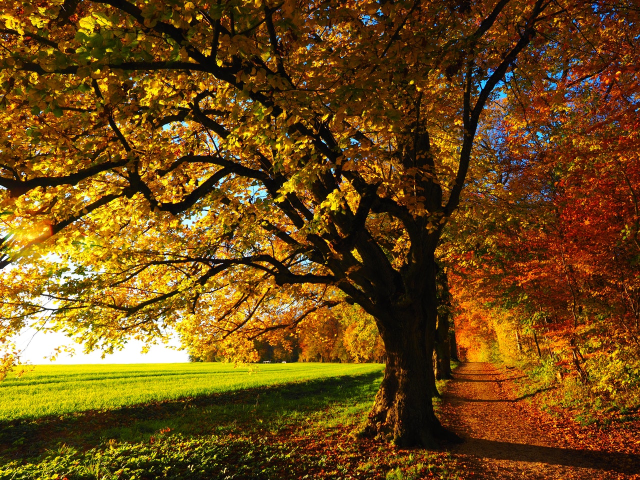 Enjoy Fall Foliage Near Our Apartments in Providence, Rhode Island